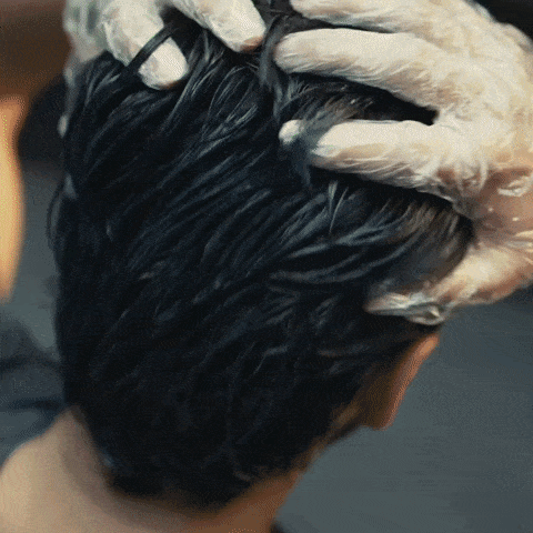 SHAMPOO NATURAL CUBRE CANAS EELHOE
