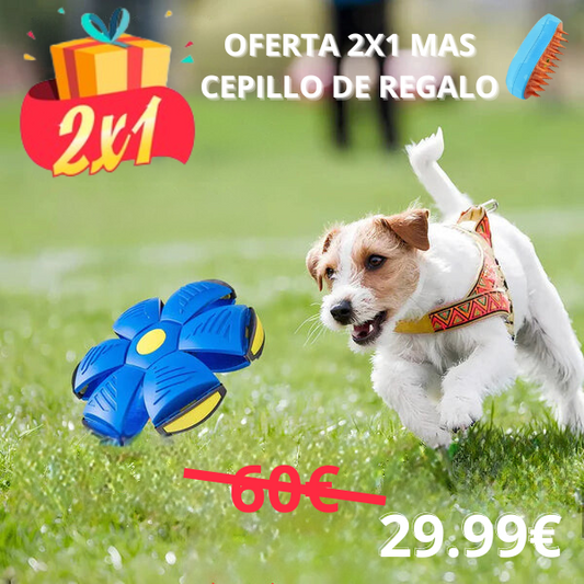 AeroFun™ Pelota Voladora para Perros - (OFERTA 1+1  MÁS CEPILLO VAPORIZADOR)