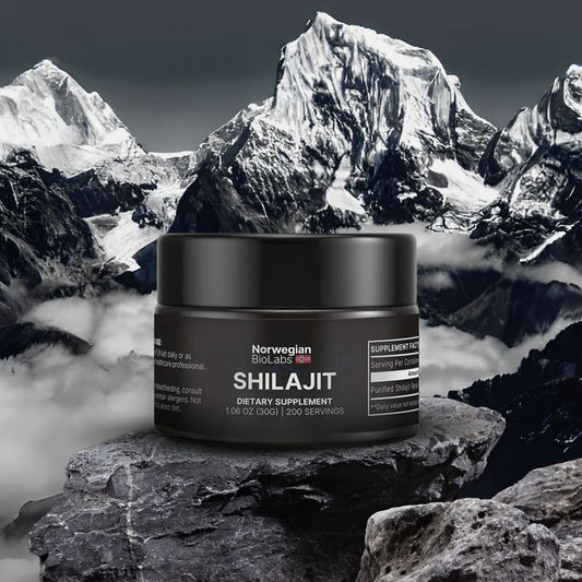 Resina orgánica pura del Himalaya SHILAJIT 100g OFERTA 2x1 (total 200g)