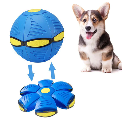 AeroFun™ Pelota Voladora para Perros - (OFERTA 1+1  MÁS CEPILLO VAPORIZADOR)