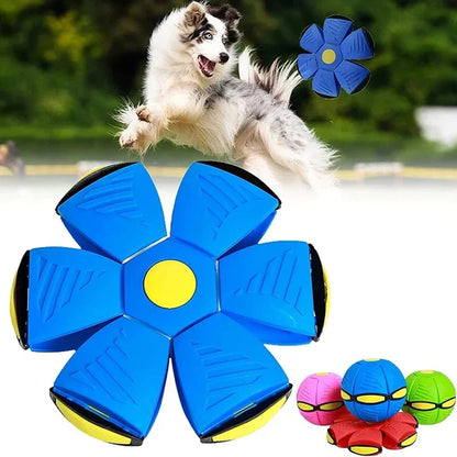 AeroFun™ Pelota Voladora para Perros - (OFERTA 1+1  MÁS CEPILLO VAPORIZADOR)